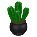 Cactus by Evivivi