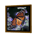 Frame Butterfly by Emmanuel Puybaret