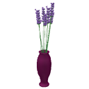 Lavender by Scopia