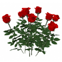 Roses bush by Scopia